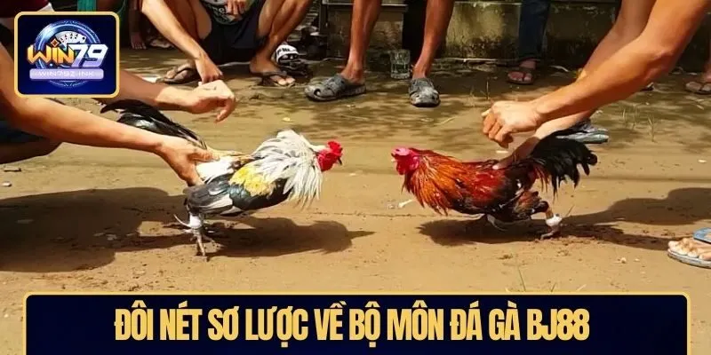 Đôi nét sơ lược về bộ môn đá gà BJ88 