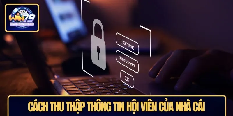 Cách thu thập thông tin hội viên của nhà cái