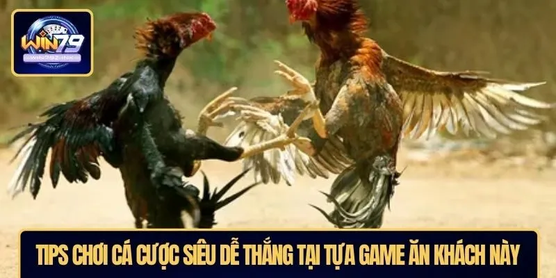 Tips chơi cá cược siêu dễ thắng tại tựa game ăn khách này