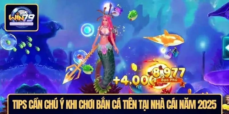 Tips cần chú ý khi chơi bắn cá tiên tại nhà cái năm 2025