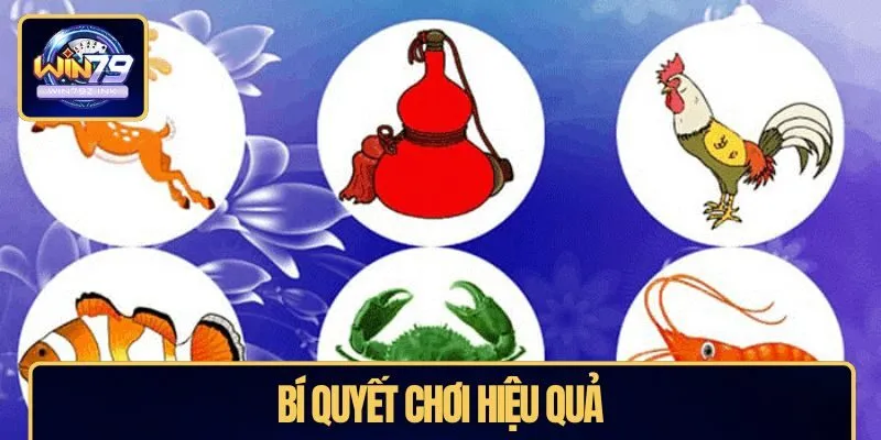Bí quyết chơi hiệu quả