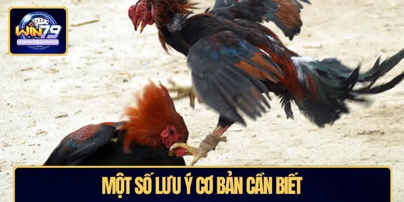 Một số lưu ý cơ bản cần biết
